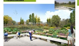 安徽公园爆料最新消息,揭秘神秘事件背后的真相